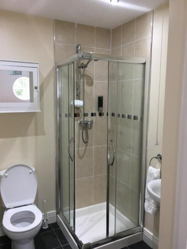 a bathroom with a shower with a toilet and a sink at 5 Shell Hill Mews in Coleraine