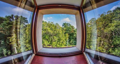 a window in a train looking out at trees at Borhotel Sziluett Farkasmály in Gyöngyös