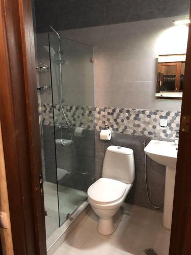 a bathroom with a shower and a toilet and a sink at Best Villa in BAKURIANI Center in Bakuriani