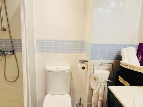 a small bathroom with a toilet and a shower at Canarian Garden Building Jardines Canarios in Los Cristianos