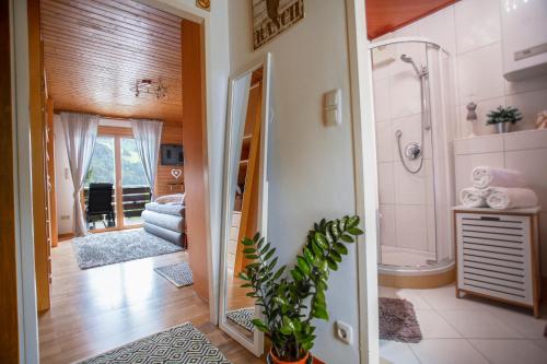 a bathroom with a shower and a toilet and a sink at Winzig Apartment in Schladming