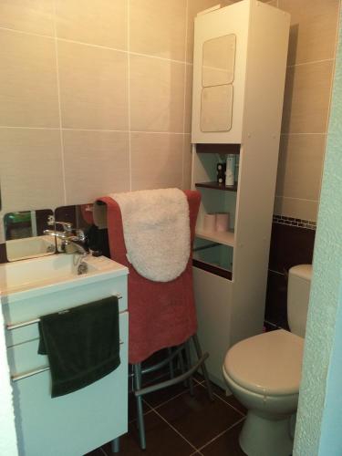 une petite salle de bain avec un lavabo et des toilettes dans l'établissement tony vero, à Cournonterral