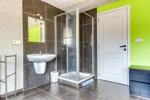 a bathroom with a shower and a sink at Château Ferme de Laval in Sainte-Ode