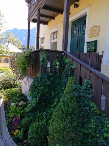 a house with a green door and some bushes at Luise Wehrenfennig & Haus EvA in Bad Goisern