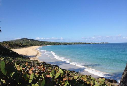 a view of a beach with the ocean at Treehouse Apartment at La Lodge at Long Bay in Corn Island