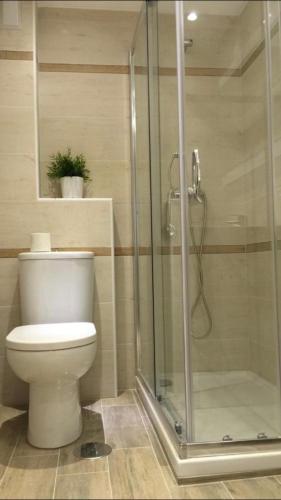 La salle de bains est pourvue de toilettes et d'une douche en verre. dans l'établissement San Andrés, 93 Apartamento, à La Corogne
