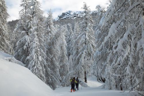 a group of people skiing through a snow covered forest at Hotel Le Clocher in Champoluc