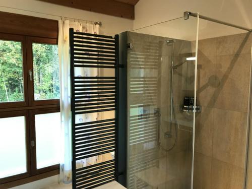 a bathroom with a shower with a glass door at Carrera - Ferienhaus mit Traumgarten (120m2) für max. 2 Personen in Valendas