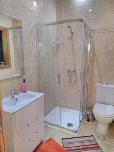 a bathroom with a shower and a sink and a toilet at BellaVista Alojamento in Arouca