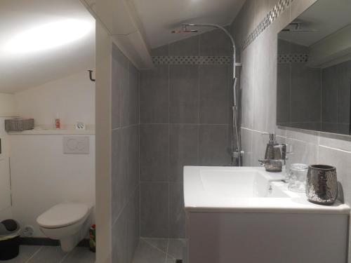 une salle de bain avec un lavabo et des toilettes dans l'établissement Centre d'énergies, à Monteux