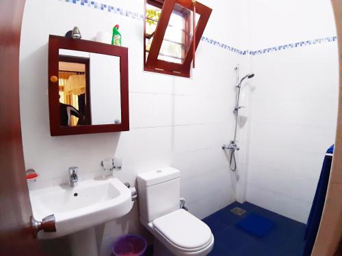 a bathroom with a sink and a toilet and a mirror at Villa Bentota River View in Aluthgama