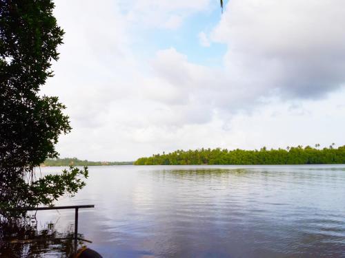 Galeriebild der Unterkunft Villa Bentota River View in Aluthgama