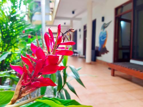 Galeriebild der Unterkunft Villa Bentota River View in Aluthgama