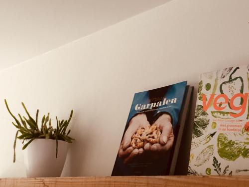 a book sitting on a shelf next to a plant at De Veldmuis, met mooie speelhoek en speelhuis in Koksijde