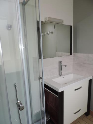 a bathroom with a sink and a shower at Gite Le Bois Fleuri in Illiers