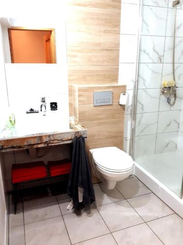 a bathroom with a toilet and a shower and a sink at Hostel Staromiejski in Grudziądz