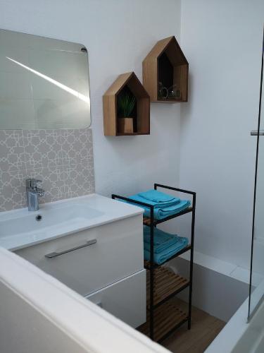 une salle de bain avec un lavabo et un miroir dans l'établissement Un Parfum D'embruns Hypercentre Honfleur, fibre, à Honfleur