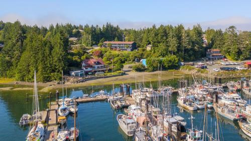 an aerial view of a marina with boats docked at Tofino Motel Harbourview in Tofino