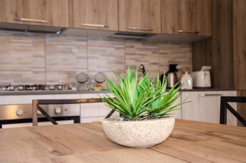 a potted plant sitting on a wooden table in a kitchen at AnMa Cottages The Secret Garden in Pianello Del Lario