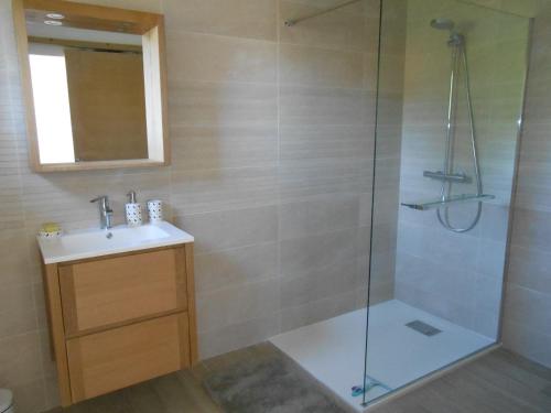 La salle de bains est pourvue d'une douche et d'un lavabo. dans l'établissement Studio indépendant mios bourg, à Mios