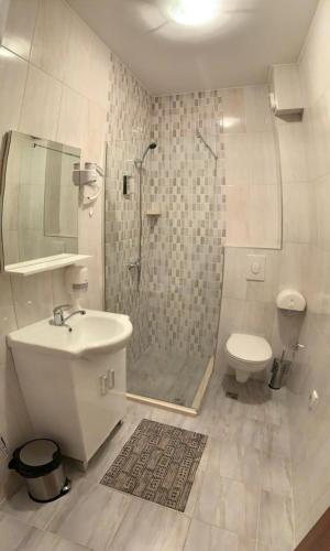 a bathroom with a shower and a sink and a toilet at Apartmani Gaga in Tivat