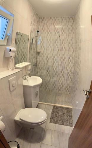 a bathroom with a toilet and a sink and a shower at Apartmani Gaga in Tivat