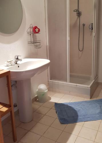 a bathroom with a sink and a shower at Casa Re - B&B e Vino a Montabone in Montabone