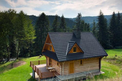 a log cabin with a black roof on a green field at Chata na Kowalówkach - domek w górach - blisko szlaków i wyciągu in Piwniczna-Zdrój