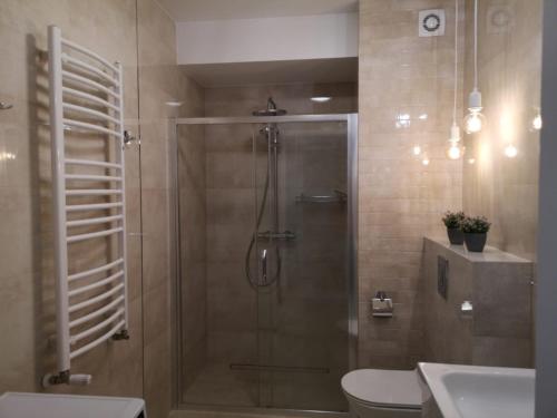 Apartament Malinowy Zakątek Triventi Mountain Residence tesisinde bir banyo