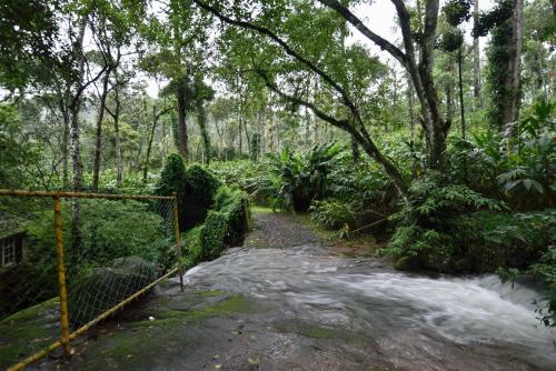 a path in a forest with a fence and trees at Mystic Mayapott, Thekkady in Thekkady