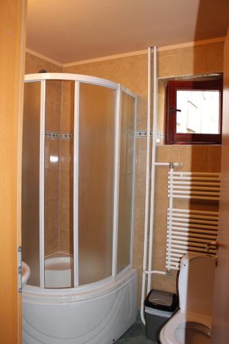 un baño con ducha y WC en Rooms Cristian, en Deva