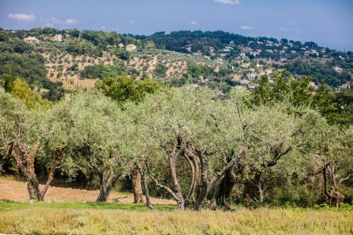 Chateauneuf Bellevue – Photos 5