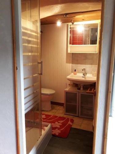 ラマストルにあるGîte du Château de Retourtourの洗面台とトイレ付きのバスルーム