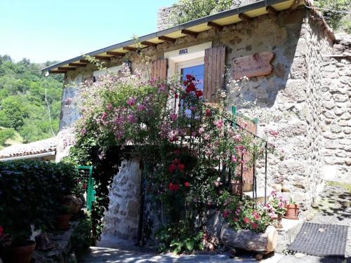 Gîte du Château de Retourtourにある庭