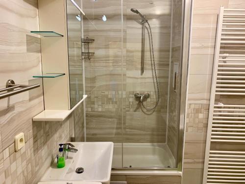 a bathroom with a glass shower and a sink at Harrachov Lux in Harrachov