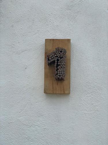 a bunch of wine bottles on a wall at El Lagar de los Abuelos in Arcos de la Frontera