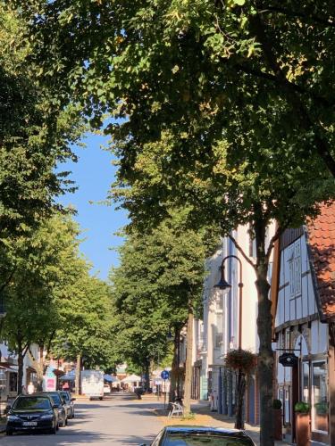 a tree lined street with cars parked on the road at Teutonia Hotel in Horn-Bad Meinberg