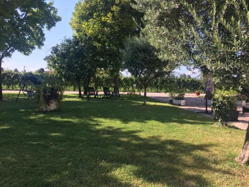 ca vittoria – Photos 3