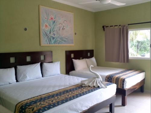 Gallery image of Hotel Turquesa Maya in Felipe Carrillo Puerto