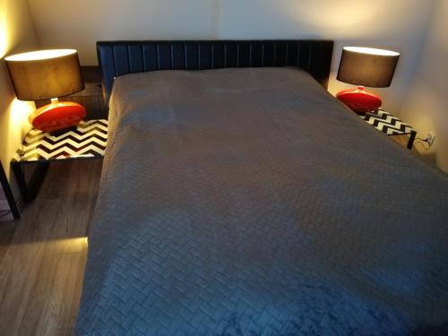 Un dormitorio con una cama grande con dos lámparas. en Papaver Apartament, en Zielona Góra