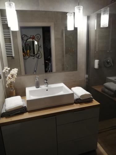 a bathroom with a sink and a mirror at Papaver Apartament in Zielona Góra