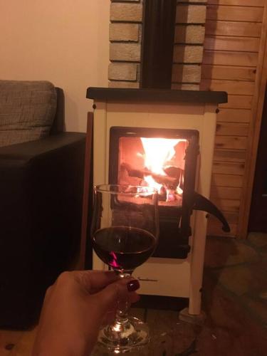a person holding a glass of wine in front of a fireplace at Orange House in nature in Žabljak