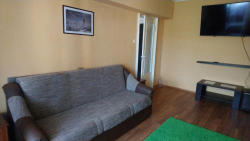 a living room with a couch and a flat screen tv at Apartament Relax in Sovata