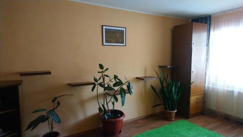a living room with two potted plants on the wall at Apartament Relax in Sovata