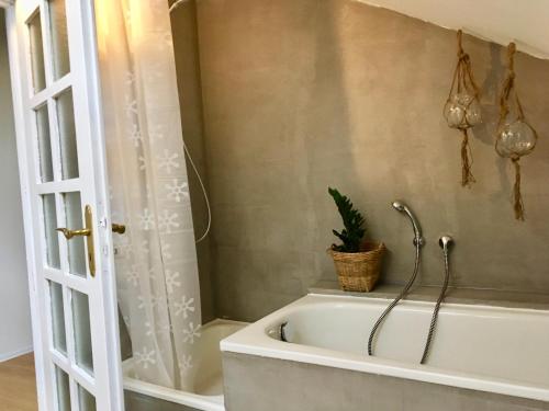 a bath tub with a plant in the corner of a bathroom at Morgentau Penthouse in Passau