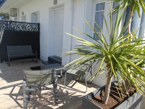 a patio with a chair and a palm tree at Vllla Reva in Argelès-sur-Mer