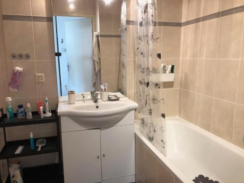 ein Badezimmer mit Waschbecken, Dusche und Badewanne in der Unterkunft Appartement au milieu des lacs, au bord du Guiers in Aoste