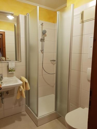 ein Bad mit einer Dusche, einem Waschbecken und einem WC in der Unterkunft Sammareier Gutshof in Bad Birnbach