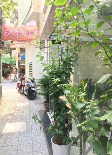 a group of plants in front of a building at Tam Homestay in Da Nang
