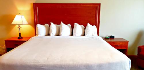 Postel nebo postele na pokoji v ubytování Berlin Heritage Inn